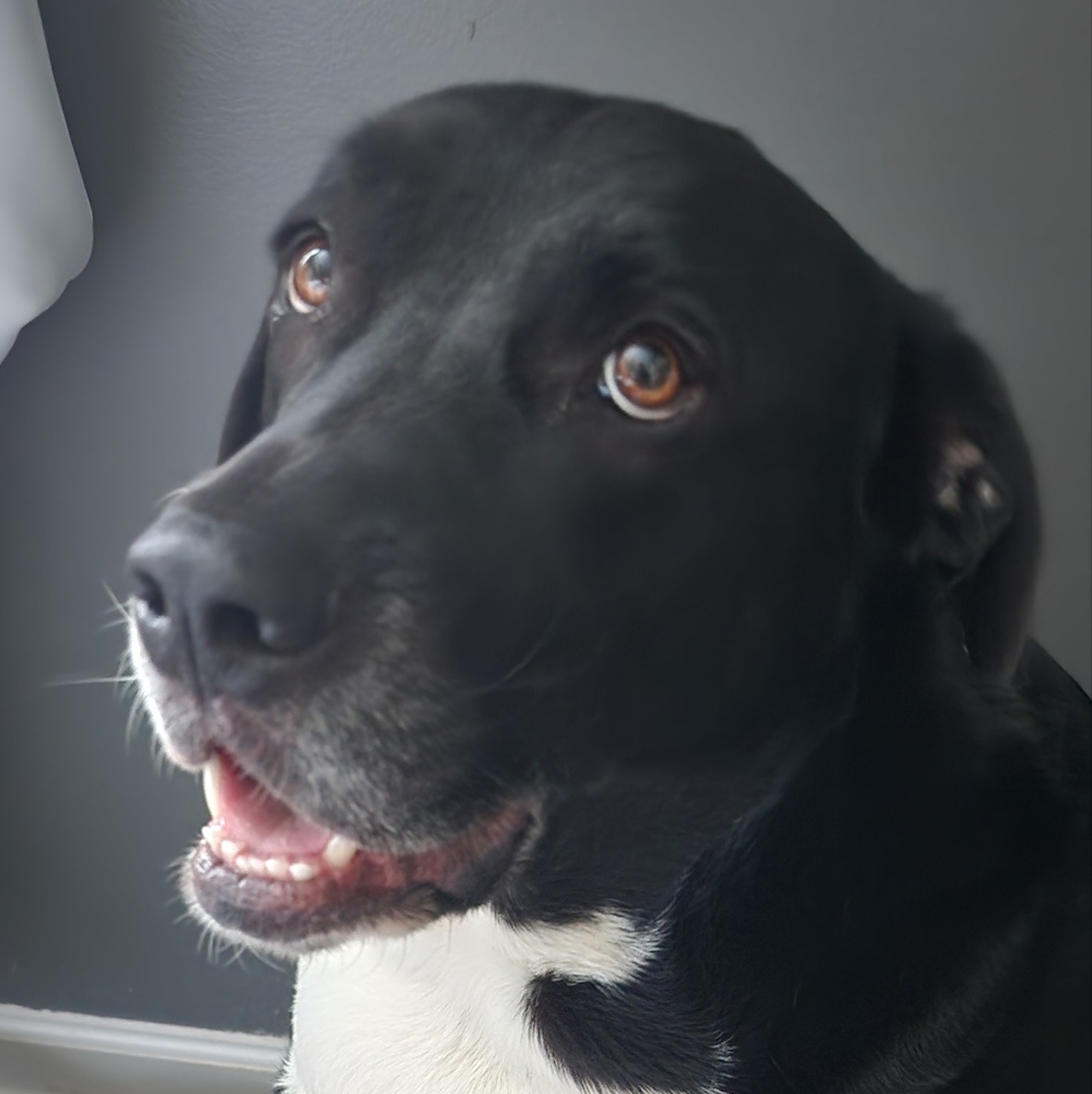 Meet your Posher, Deedee